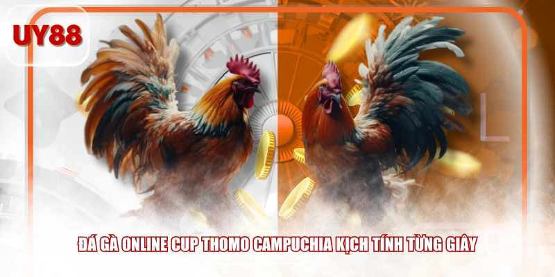 Đá gà online cup Thomo Campuchia kịch tính từng giây