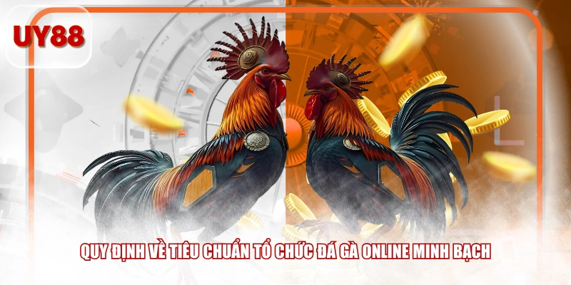 Quy định về tiêu chuẩn tổ chức đá gà online minh bạch